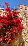 Apartamento Le Cocon Bord De Mer