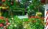 Aparthotel Apparthotel Gartenresidence Nalserhof