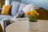 Apartamento Dream Weaver's Retreat
