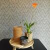 Bed & Breakfast Het Broekeroord