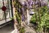 B&B Aux Quatre Bonniers
