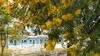 Casa 2m - Piren�polis-go