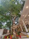 Villa Green Hub Pushkar