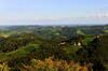 Hotel Weingut Winzerzimmer Rothsch�dl