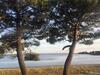 Apartamento Appartement Des M�galithes - Carnac -
