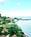 Bay Divino
