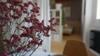 Apartamento Gramma Atelierhouse
