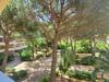 Apartamento Miougrano Studio 25m2 Piscine 300m Plage