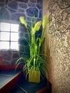 Villa R�ve D'oc�an