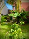 Villa R�ve D'oc�an