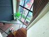 Mayhouse - Duplex Sky View 01hb