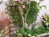 Holiday Home La Petite Dumora
