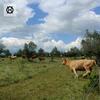 Agroturismo Herdade Da Ordem