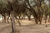 Apartamento Algarroba - Hospedaje
