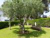 Holiday Home Villas Blanca I