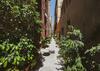 Appartamento Agave - Quartiere Castello