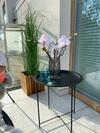Apartament Przysta?