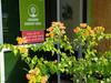 Hostal Langkawi Country Lodge2