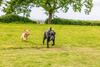 Luxury Glamping Cabins In Stunning Countryside