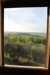 Apartamento Podere Bisciano