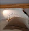 Sotto Il Faro B&B - Trieste