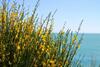 Bed & Breakfast Bagni Vittoria