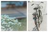 Bed & Breakfast Bagni Vittoria