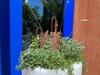 Apartamento Rh�nloft - Ferienapartment
