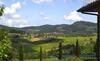 Agroturismo Fattoria Viticcio