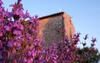Agroturismo Villa Montecastello