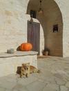 Agli Antichi Trulli B&B In Masseria