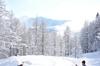 Camping Village Yolki Palki
