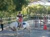 Agroturismo Tenuta Colle San Pietro