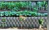 Apartamento Green Bambus Wohnung