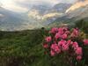 Albergue Berghaus Grindelwaldblick