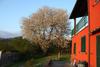 Bed & Breakfast La Finestra Sul Lago