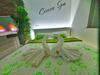 Apartamento -gite Cocoon Spa-jacuzzi-jardin-parking Priv�-climatisation