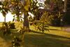 Apartamento Podere Fontegallo
