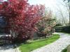 Bed & Breakfast Residenza Le Palme