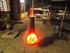 Hotel Tranquil Homestays