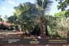 Hostal Seven Star Holiday Resort