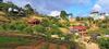 Apartamento Homestay Green Valley 2pn