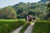 Agroturismo Rustico Del Conero