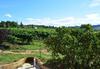 Agroturismo Le Stanze Di Bacco