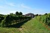 Agroturismo Le Stanze Di Bacco