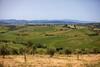 Agroturismo Casetta Tartuchino