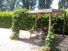 Casale Dinelli
