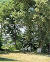 Apartamento G�te Les Vignes De Pich