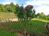 G�te La Tani�re Confort
