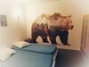 Hotel H�tel Restaurant L Or�e Du Vercors